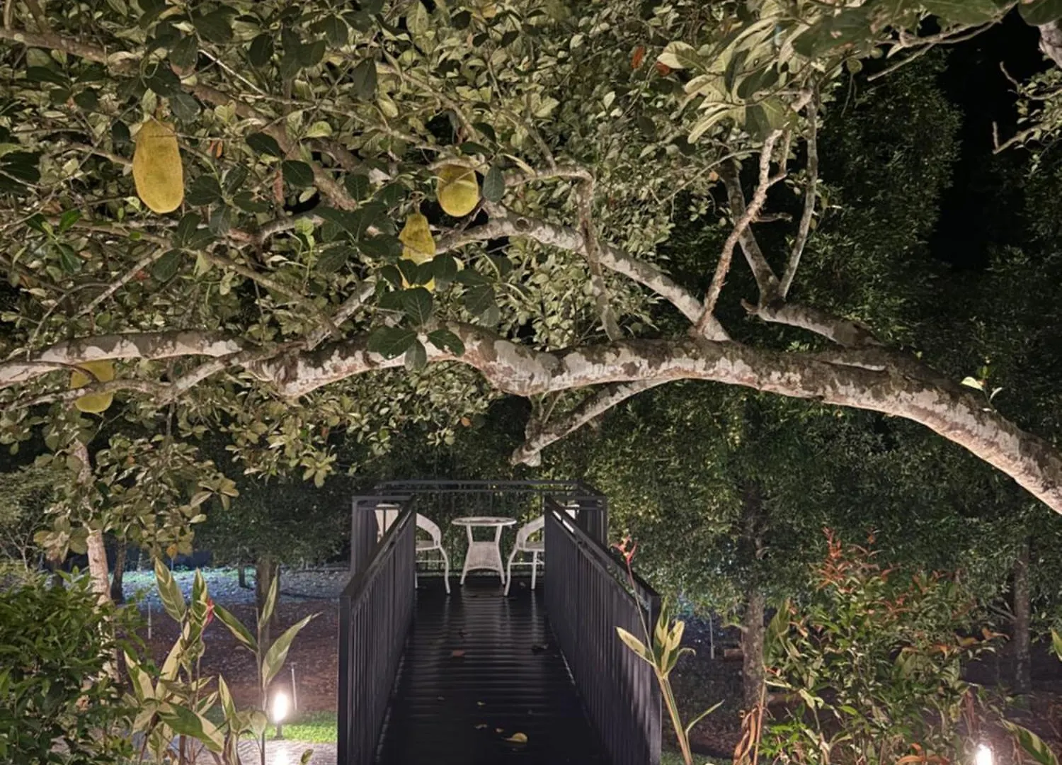 Le Jardin - Private Pool Villa Kochi 0*,  India
